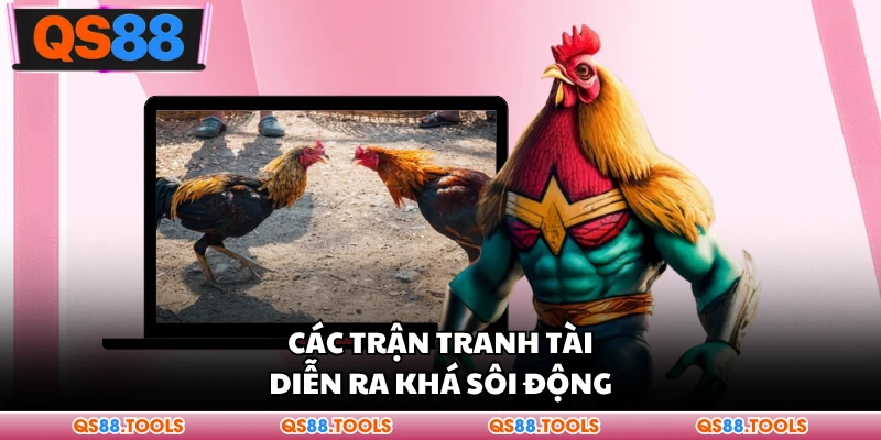 Các trận tranh tài diễn ra khá sôi động
