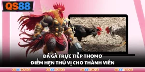 Đá Gà Trực Tiếp Thomo - Điểm Hẹn Thú Vị Cho Thành Viên