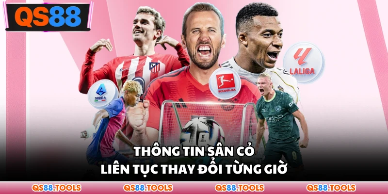 Thông tin sân cỏ liên tục thay đổi từng giờ