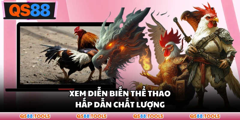 Xem diễn đàn có thể thao tác chất lượng hấp thụ